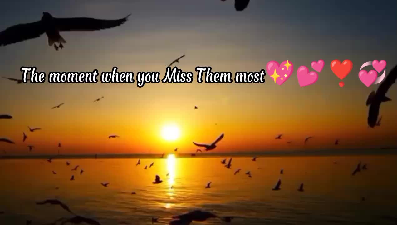 @DW_Creation's