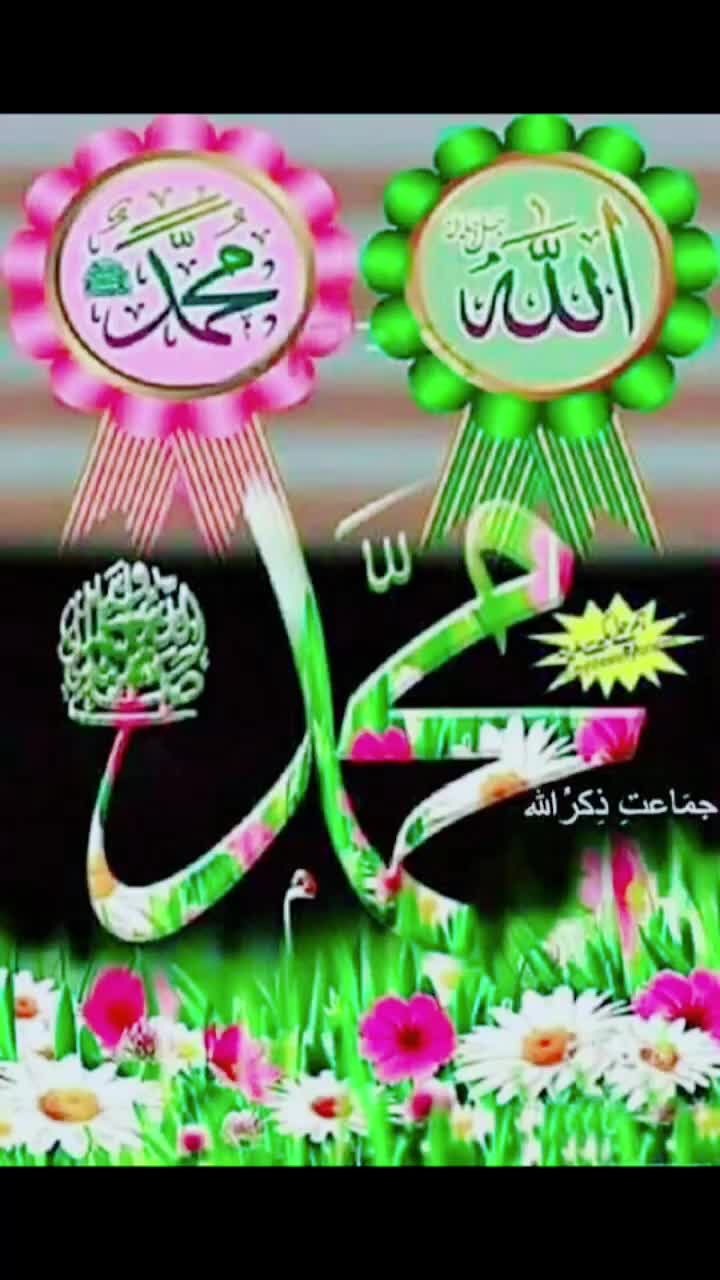 @user8793694