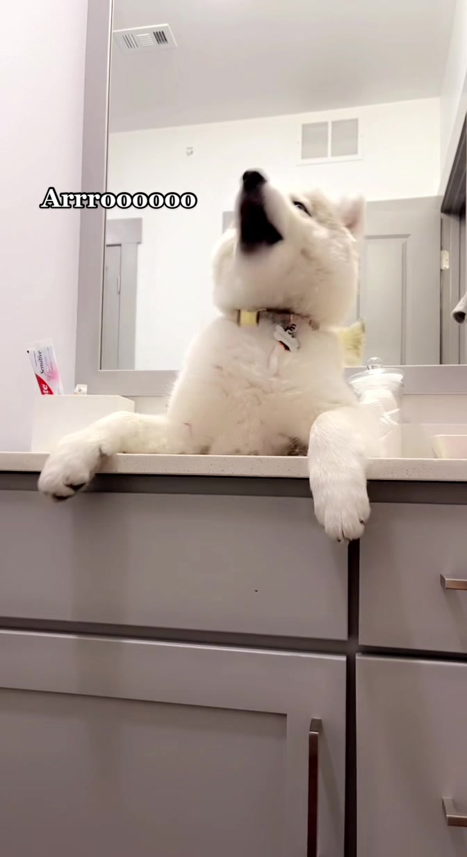 @Winnie & Wookie🐾