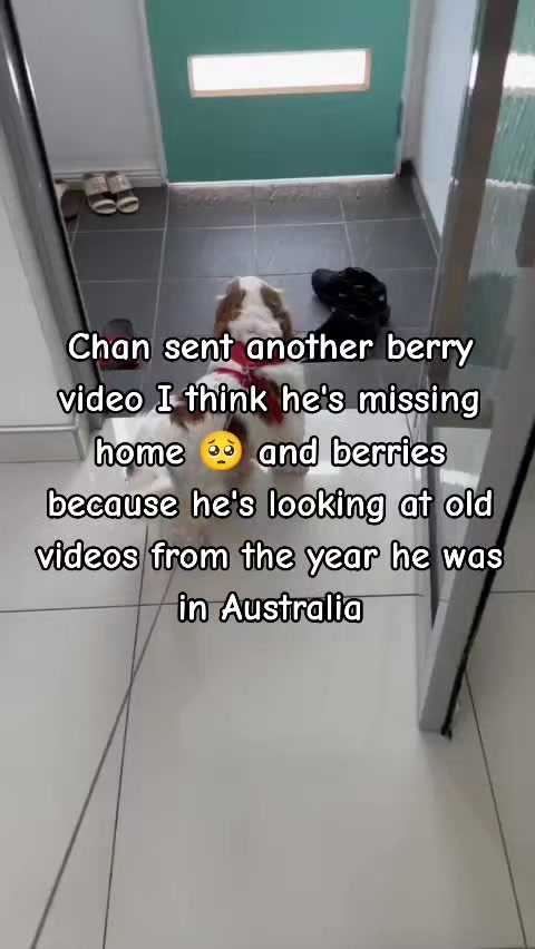 @đśđđđ_đžđđđđ_đđđđđ