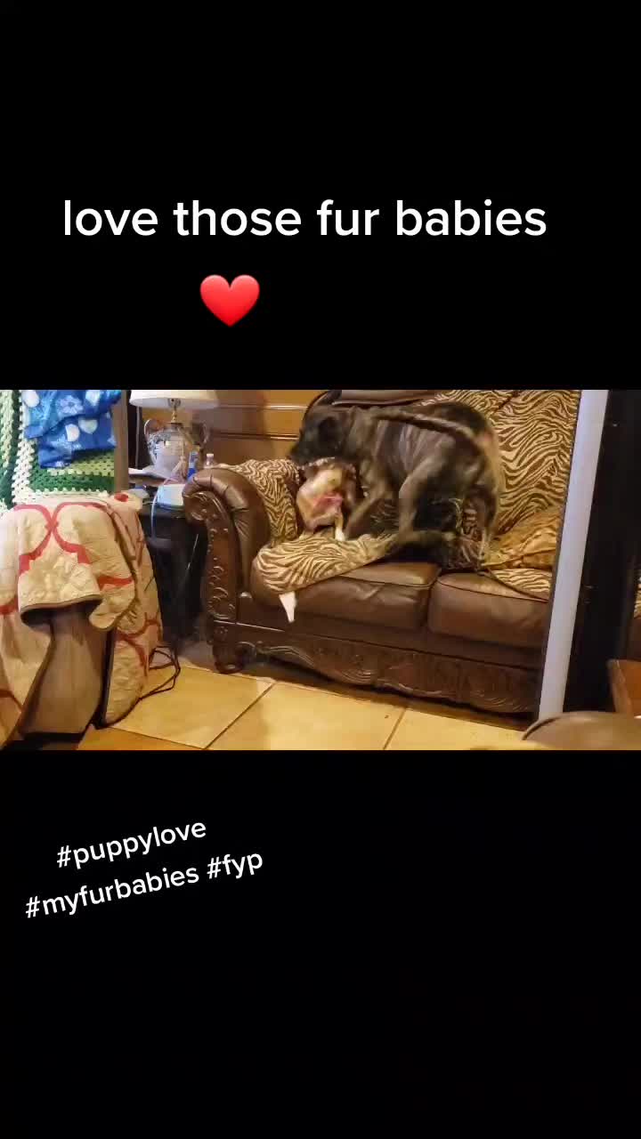 @texastammy