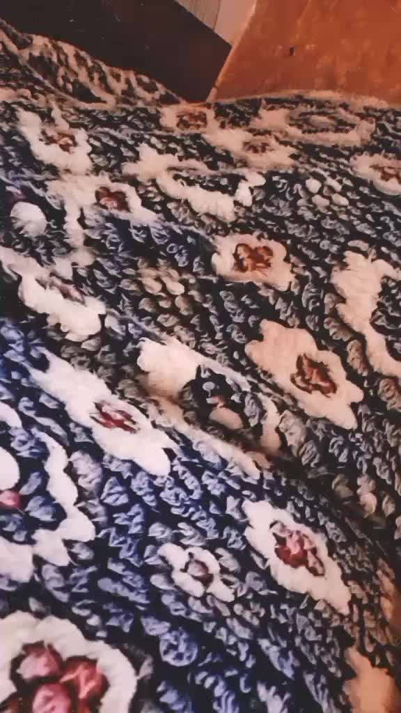 @Lovely 1856