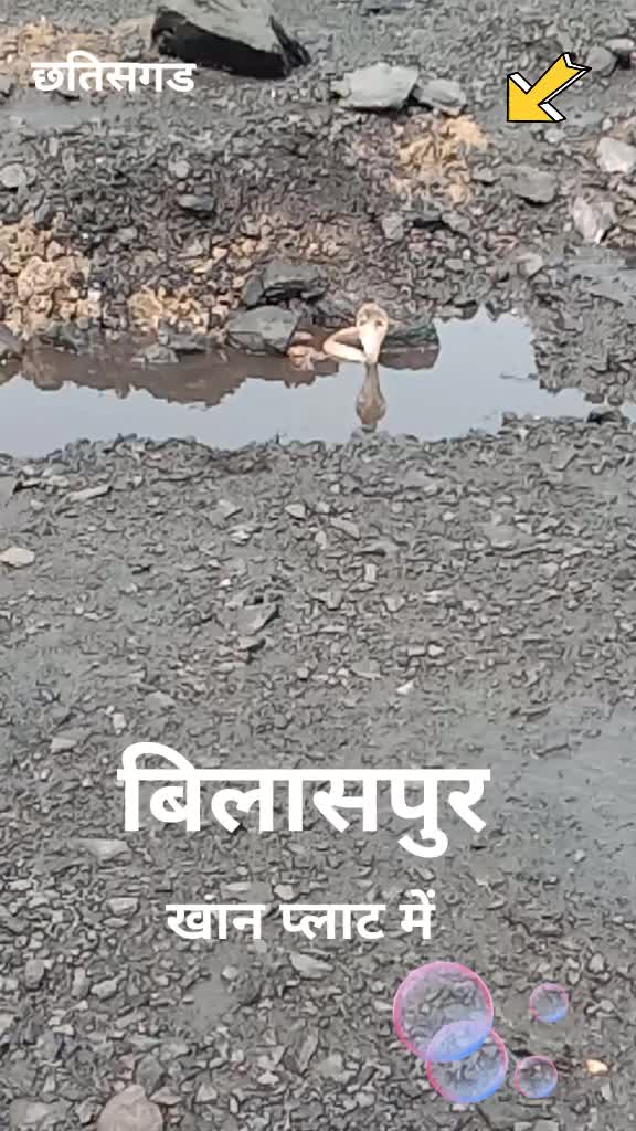 @Durgesh kumar Kewat
