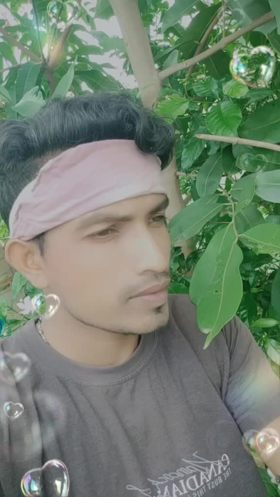 @user7327805509904
