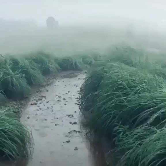 @ⓈⓐⓝⓔⓔⓢⒽ
