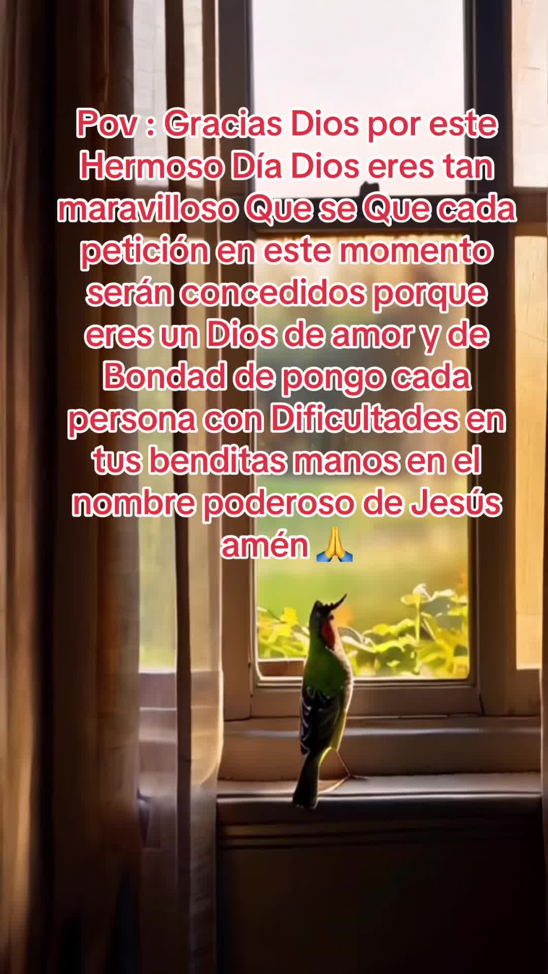 @Emelly1003