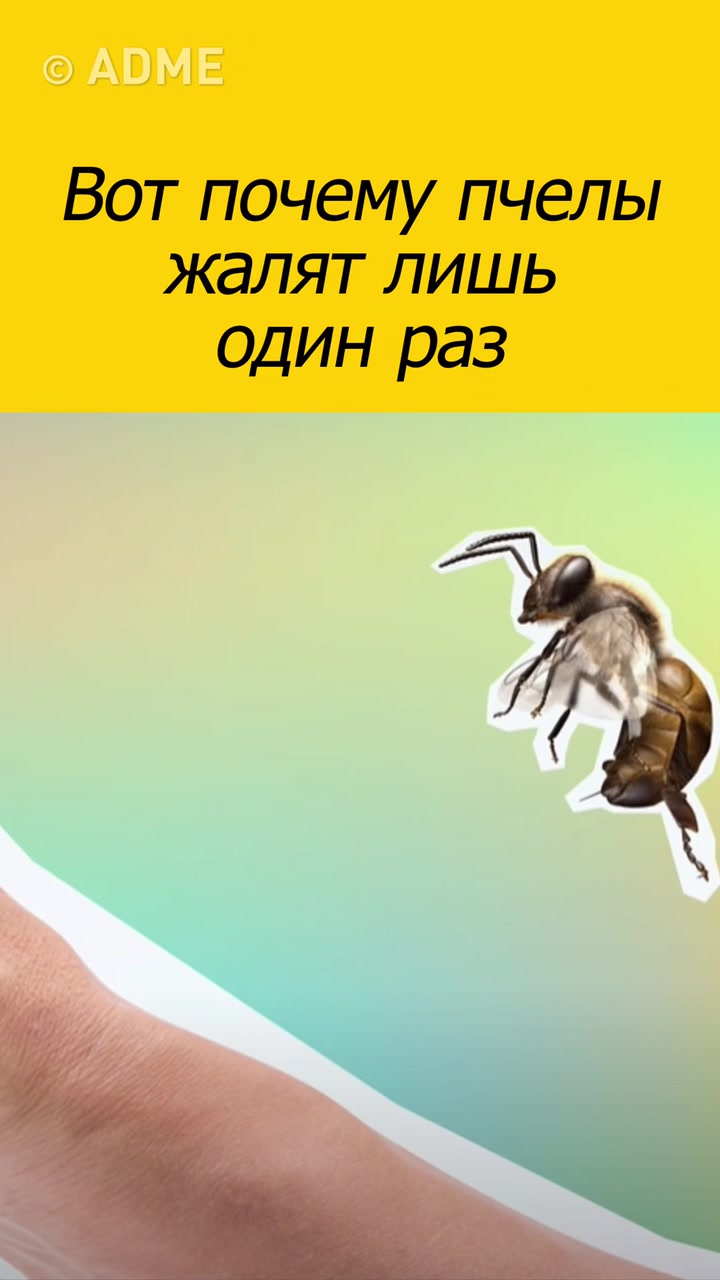 @ADME