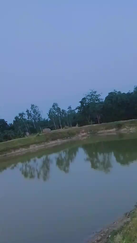 @vikasraj