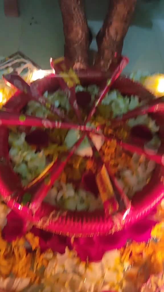 @Vaidehi Akotkar