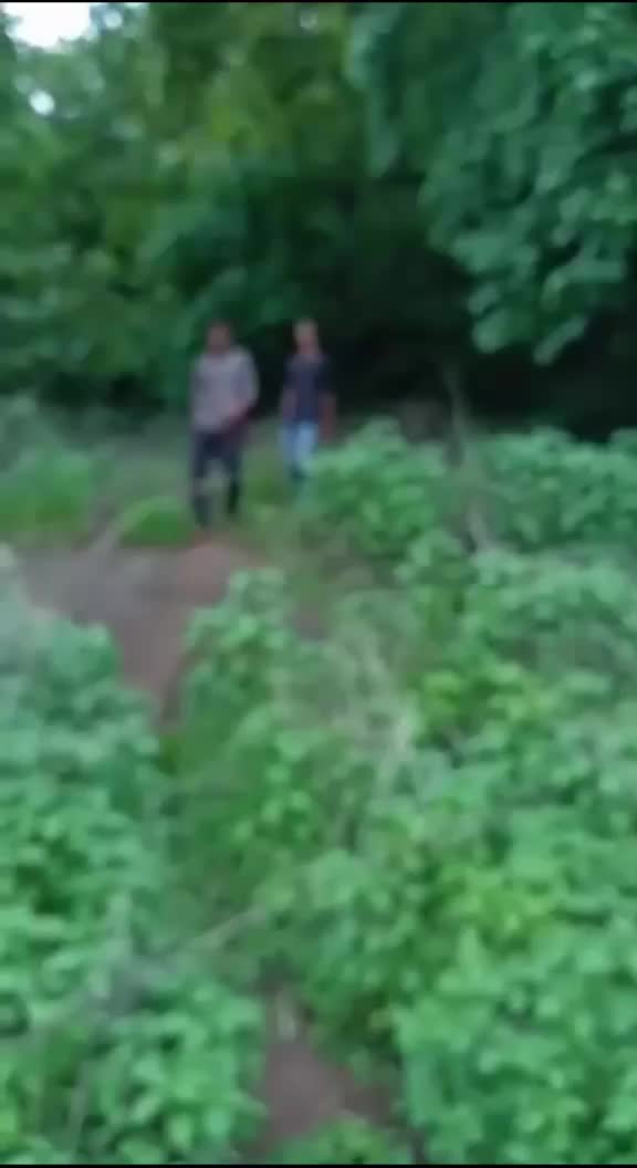 @midlaj ak
