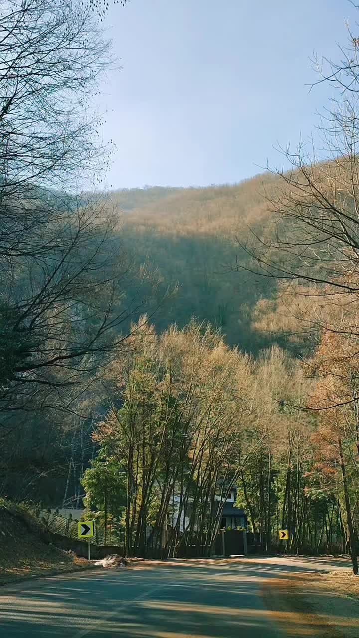 @Lenka Lena Radonjic