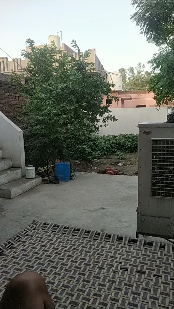 @jDx Kalyan