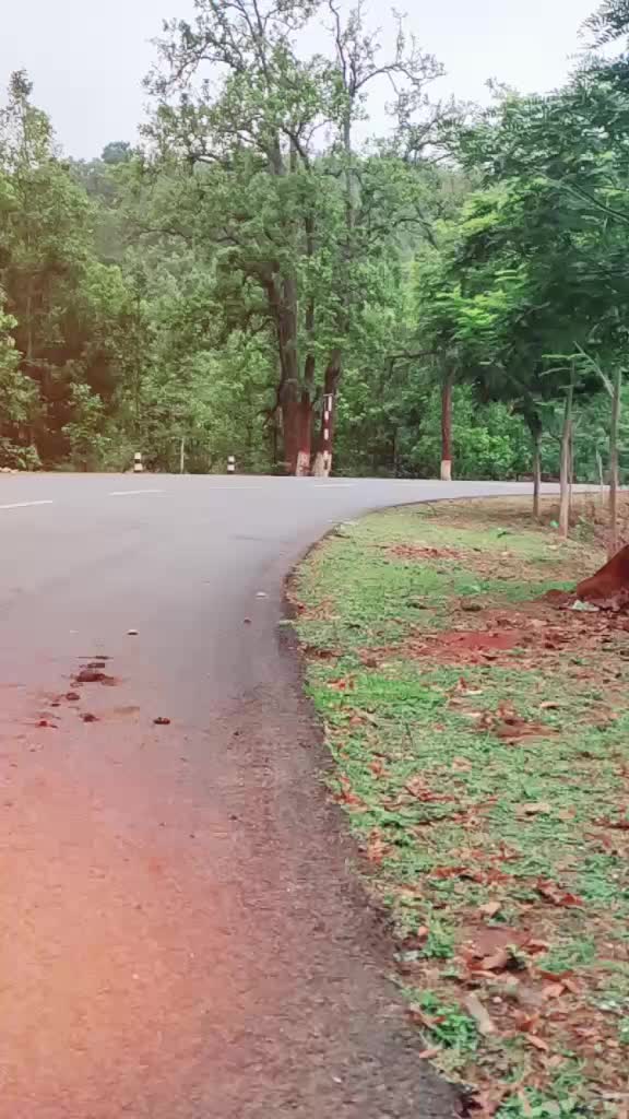 @Raj Kumar