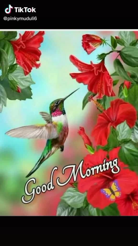 @jayarambehera143