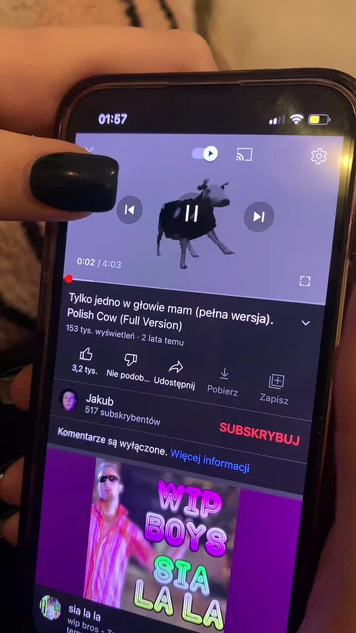 @Justyna Łysiak