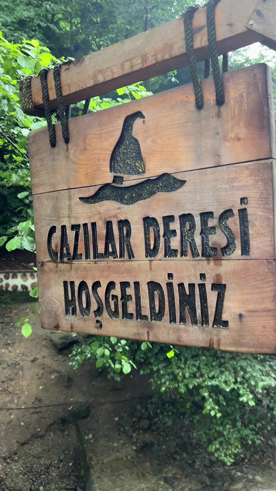 @Mustafa Özeren