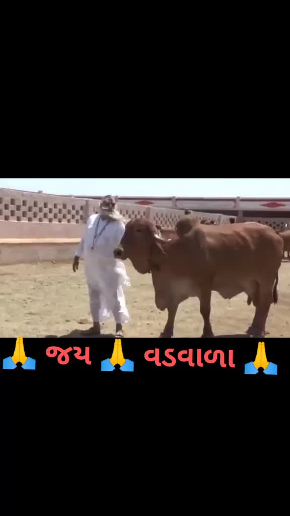 @Mr. Rajesh