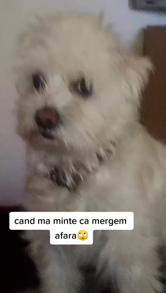 @Andreea<3
