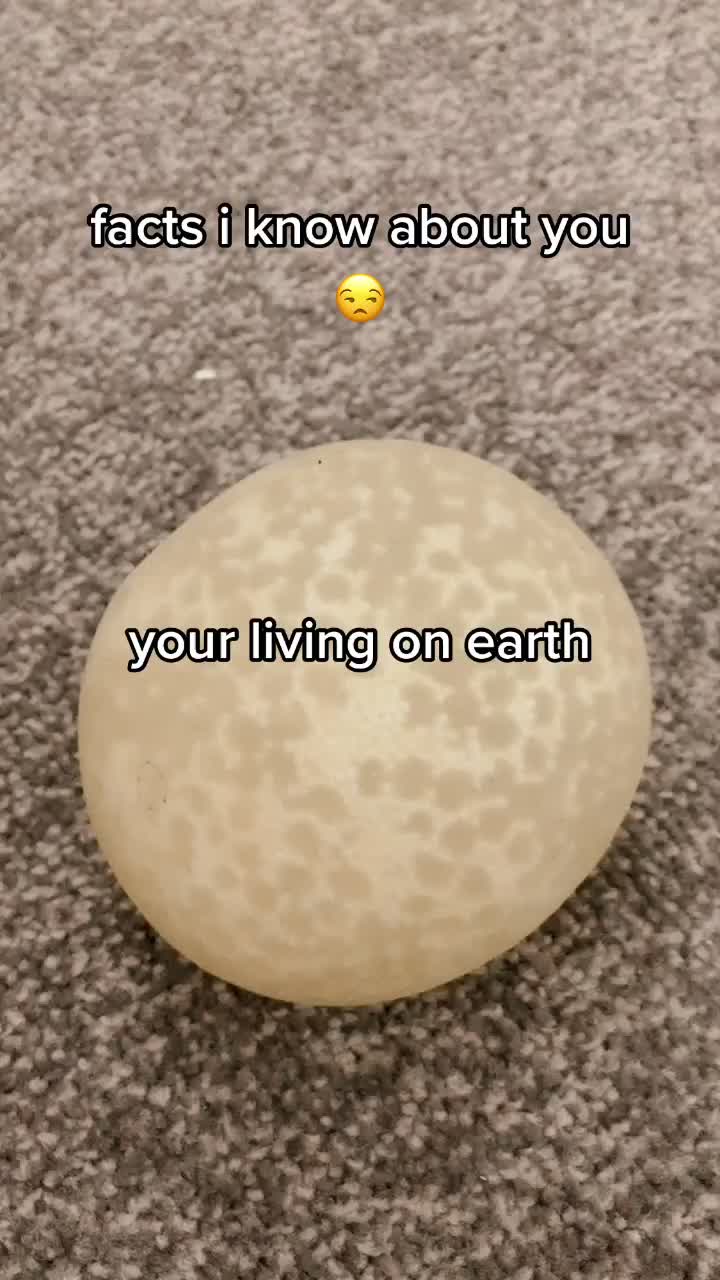 @Fidget Toys