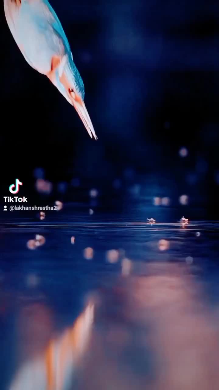 @राजा हो राजा1