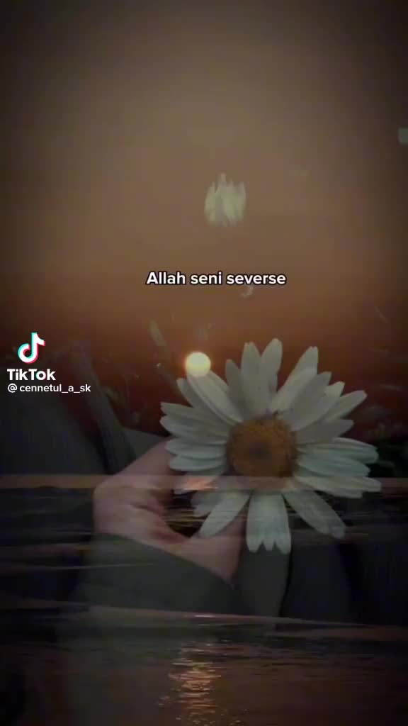 @ZERDALi
