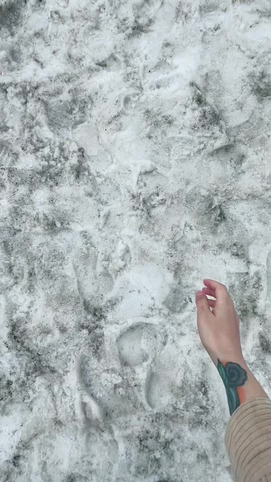 @Anastasia.ved