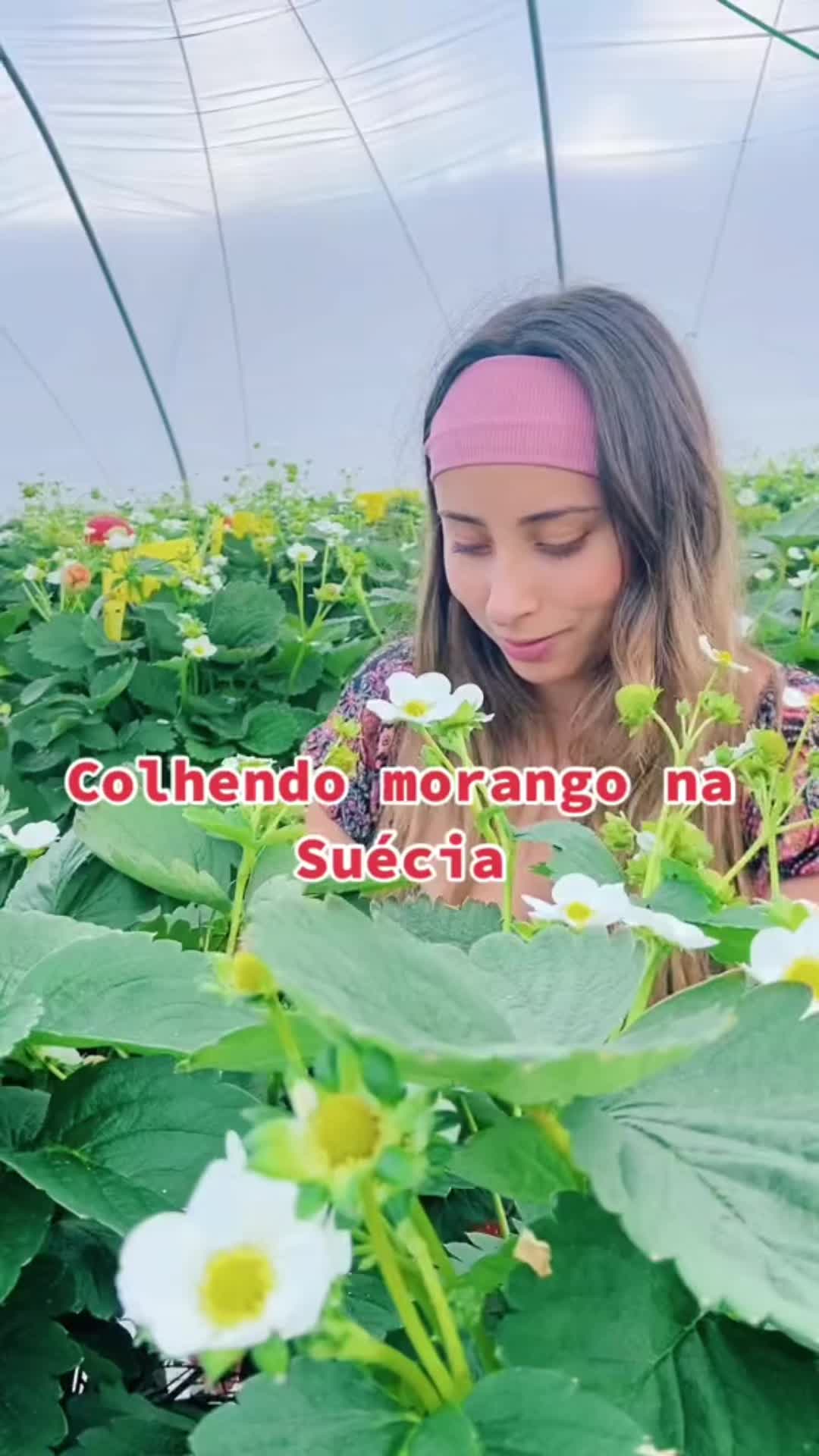 @manumacedof