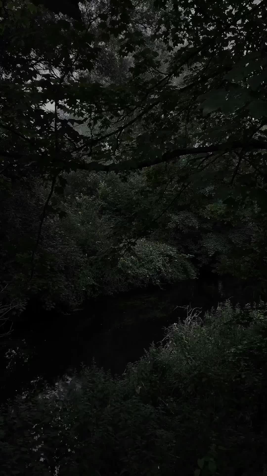 @Nature+Lofi