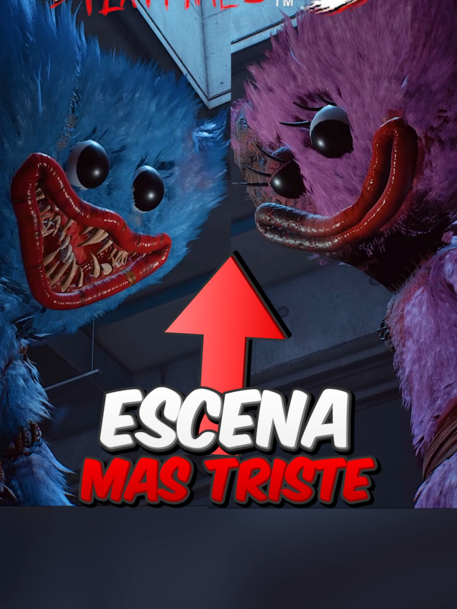 @Soy Diko