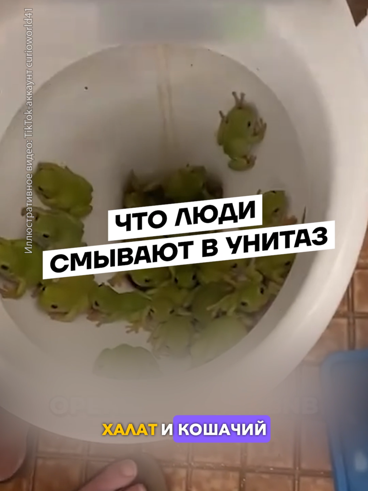 @Беларусь | Без фильтров
