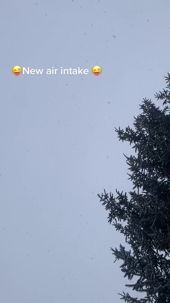@Dodgeonlyhere