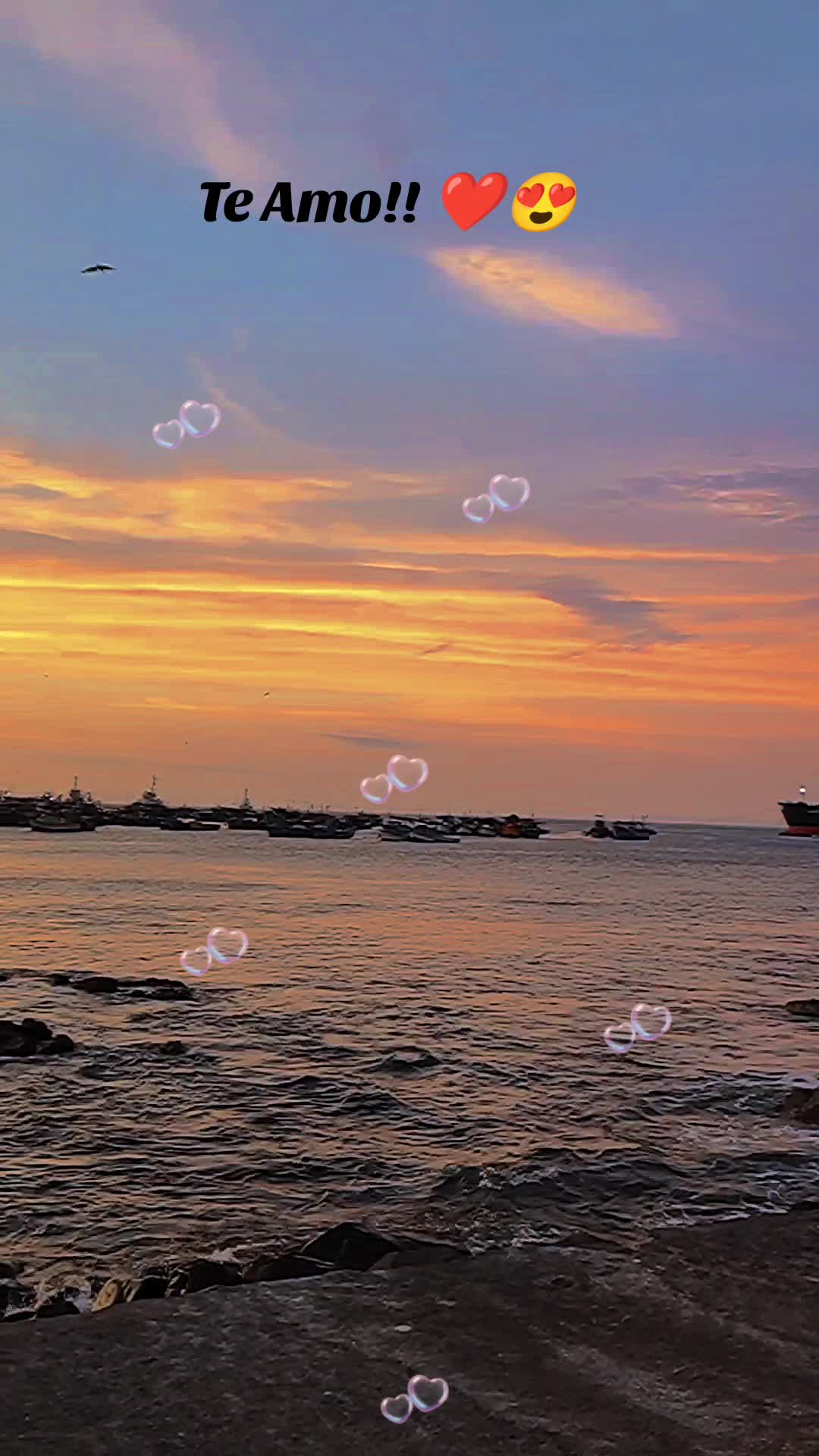 @𝑨𝒖𝒓𝒂𝑨𝒏𝒅𝒊𝒏𝒂.𝑳𝒖́