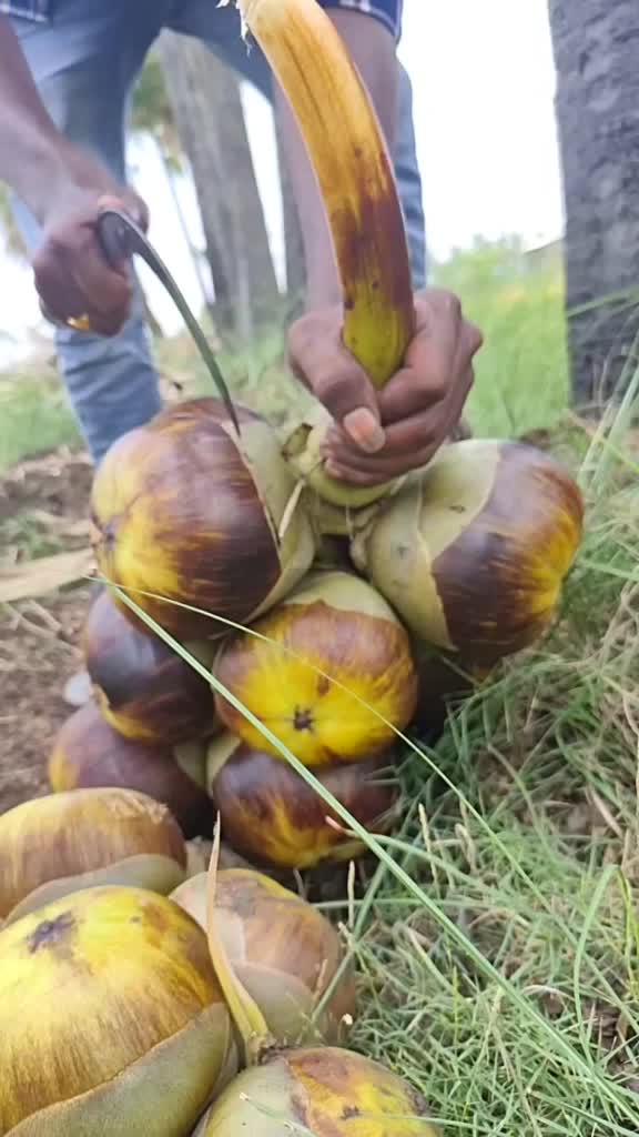 @కింగ్ సాయి