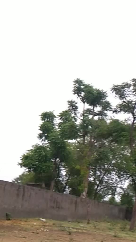 @RT Modhiya