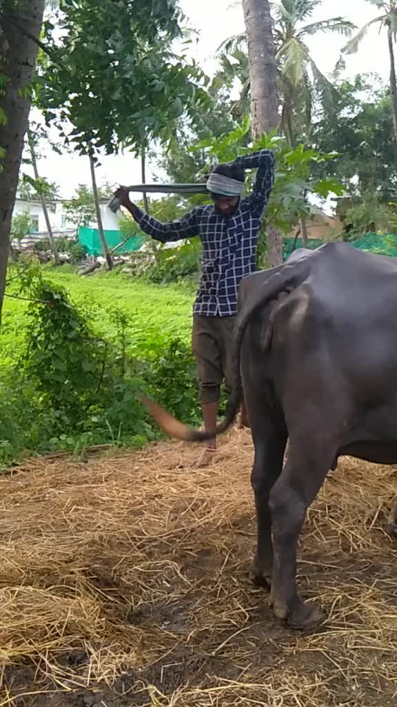 @user. naga babu