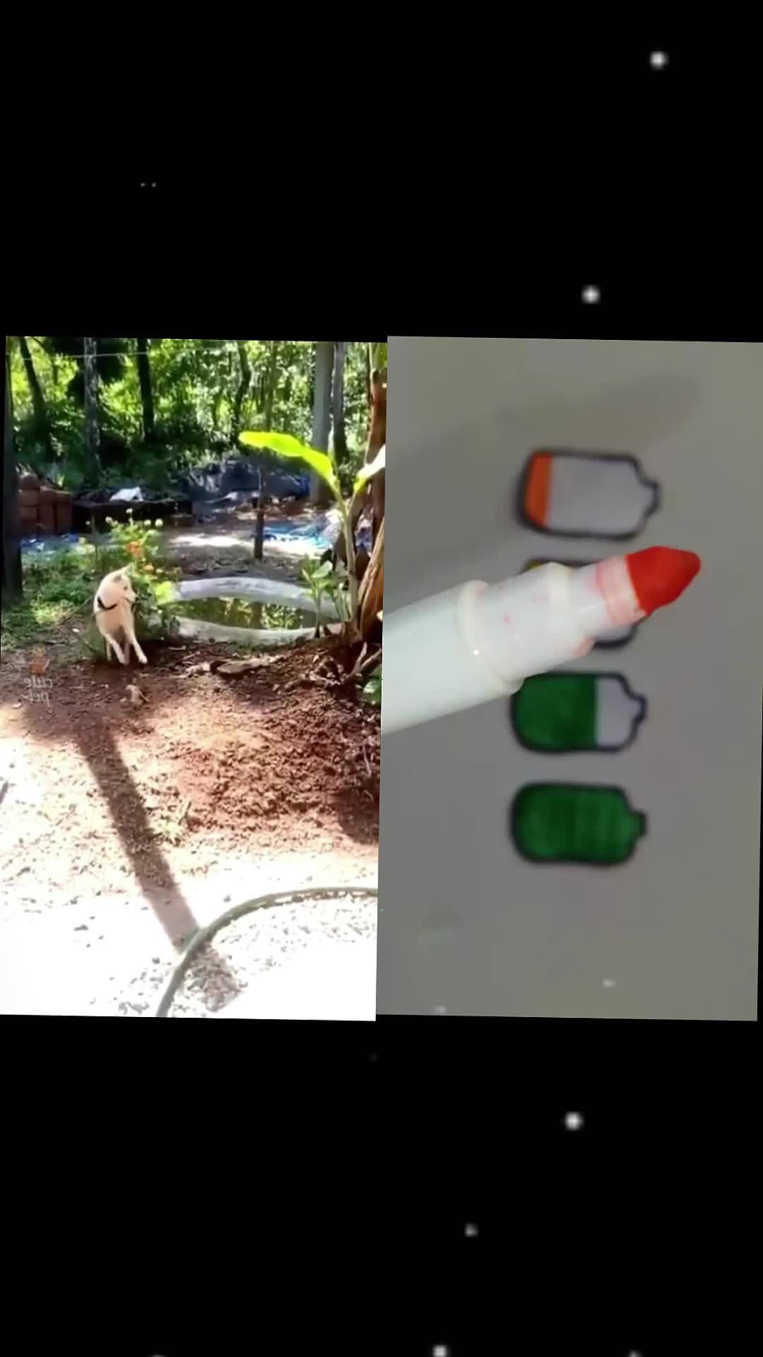 @maxgrg