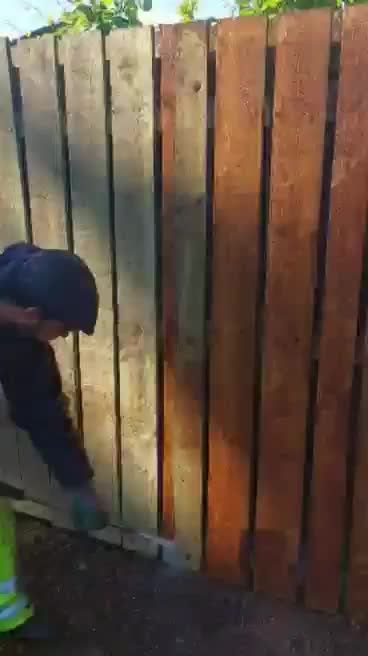 @UmmiPummi 🦁