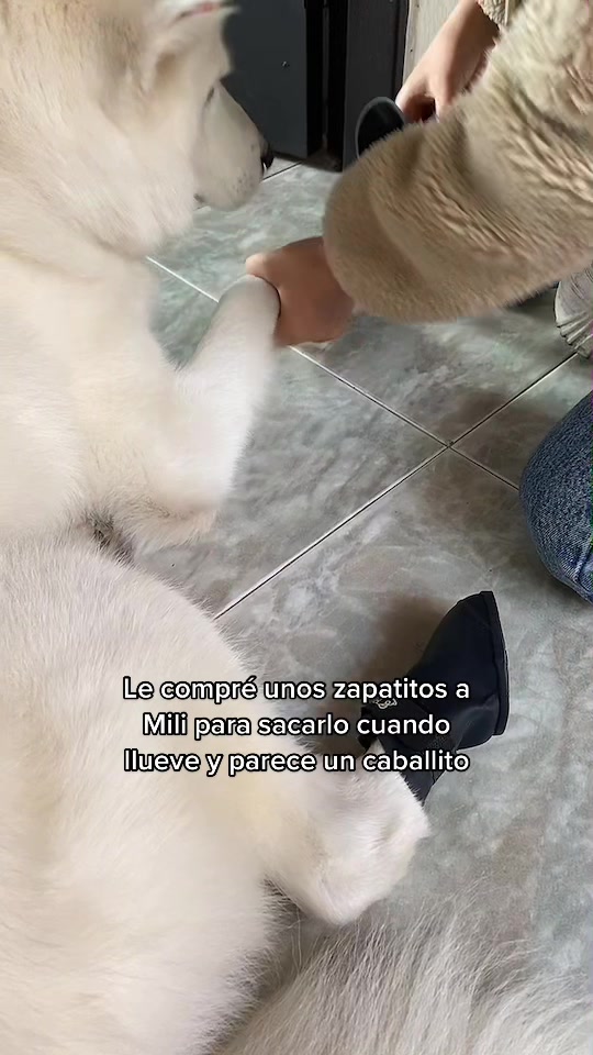 @Babeee🧸