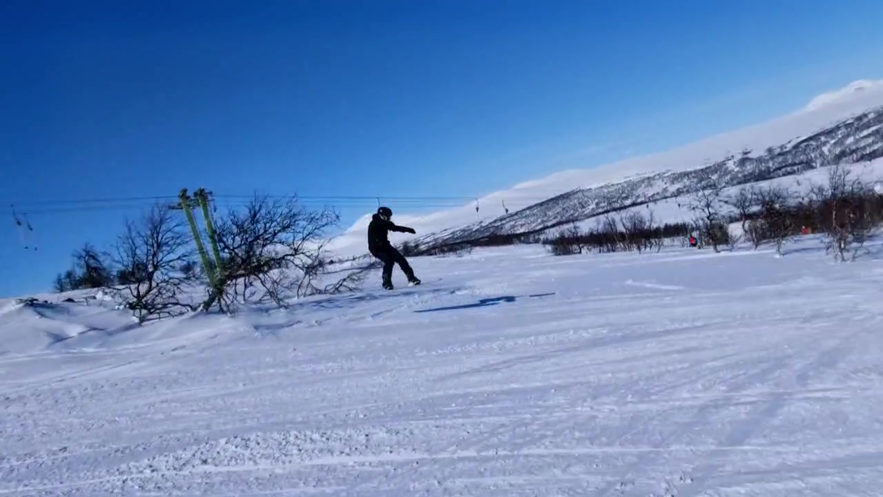 @Treeyflip