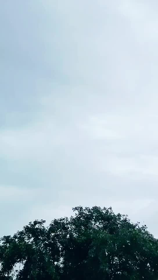 @Rizwi090