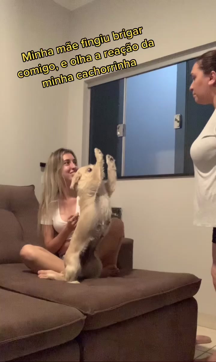 @daily_mahbaldo