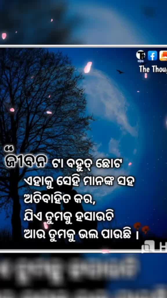 @user959317