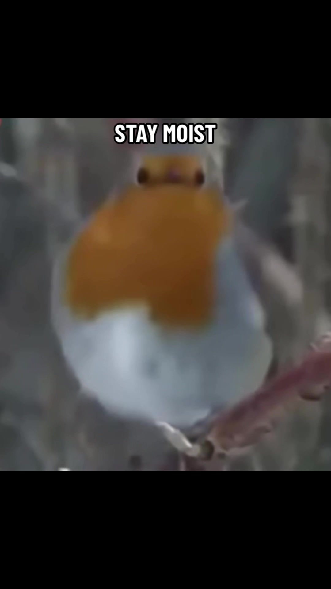 @THEMOISTBUMWHOLE