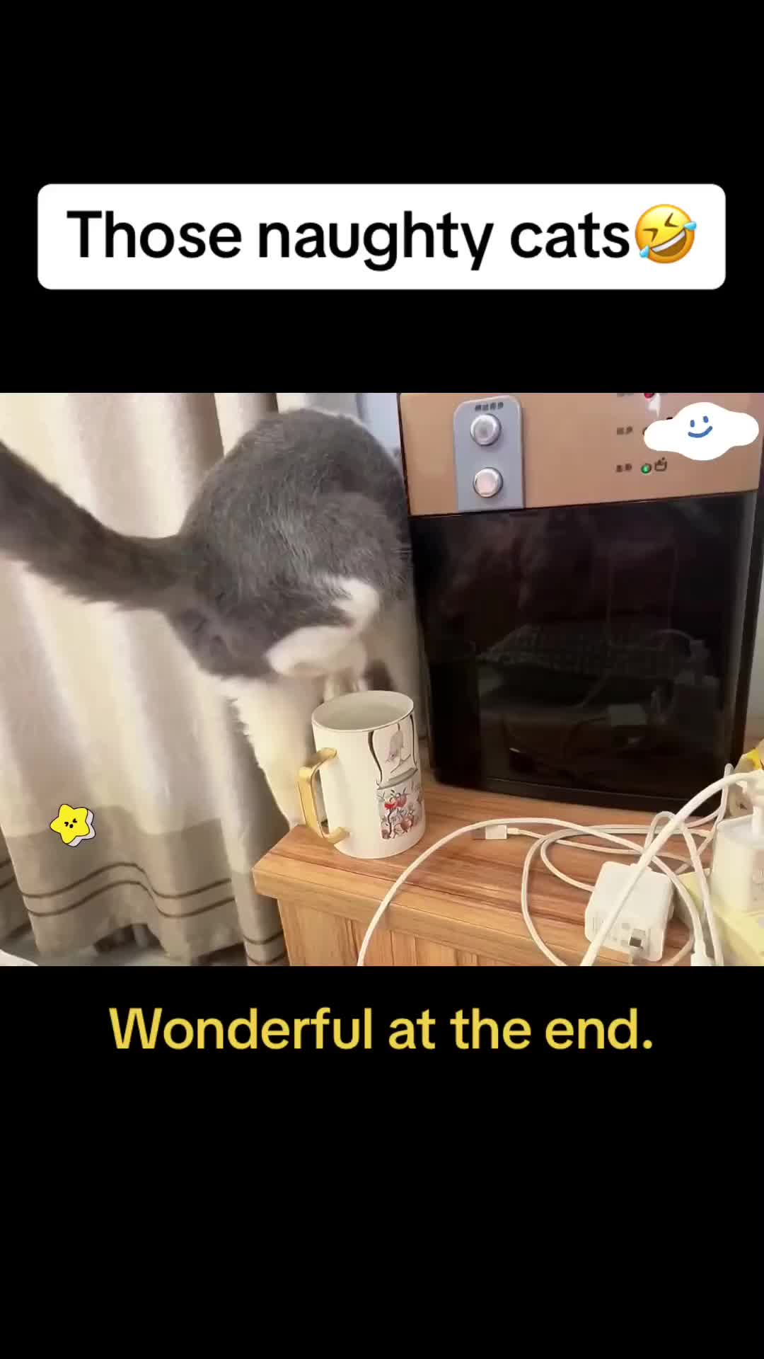@Cute Pets😻