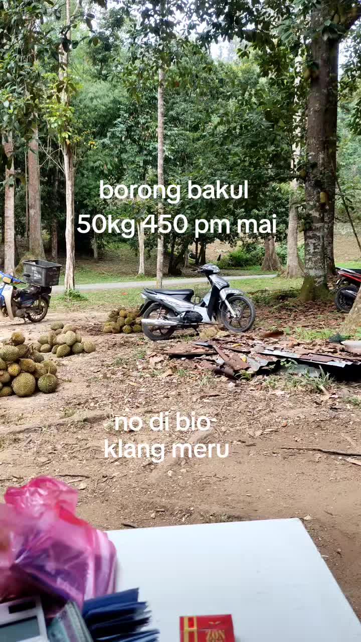 @Selendang merah(pakyus)