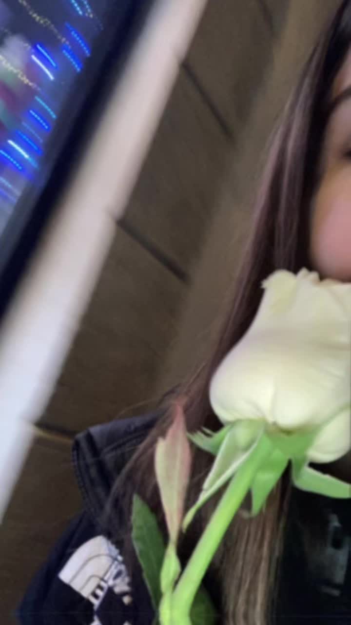@_balkanmusic_5