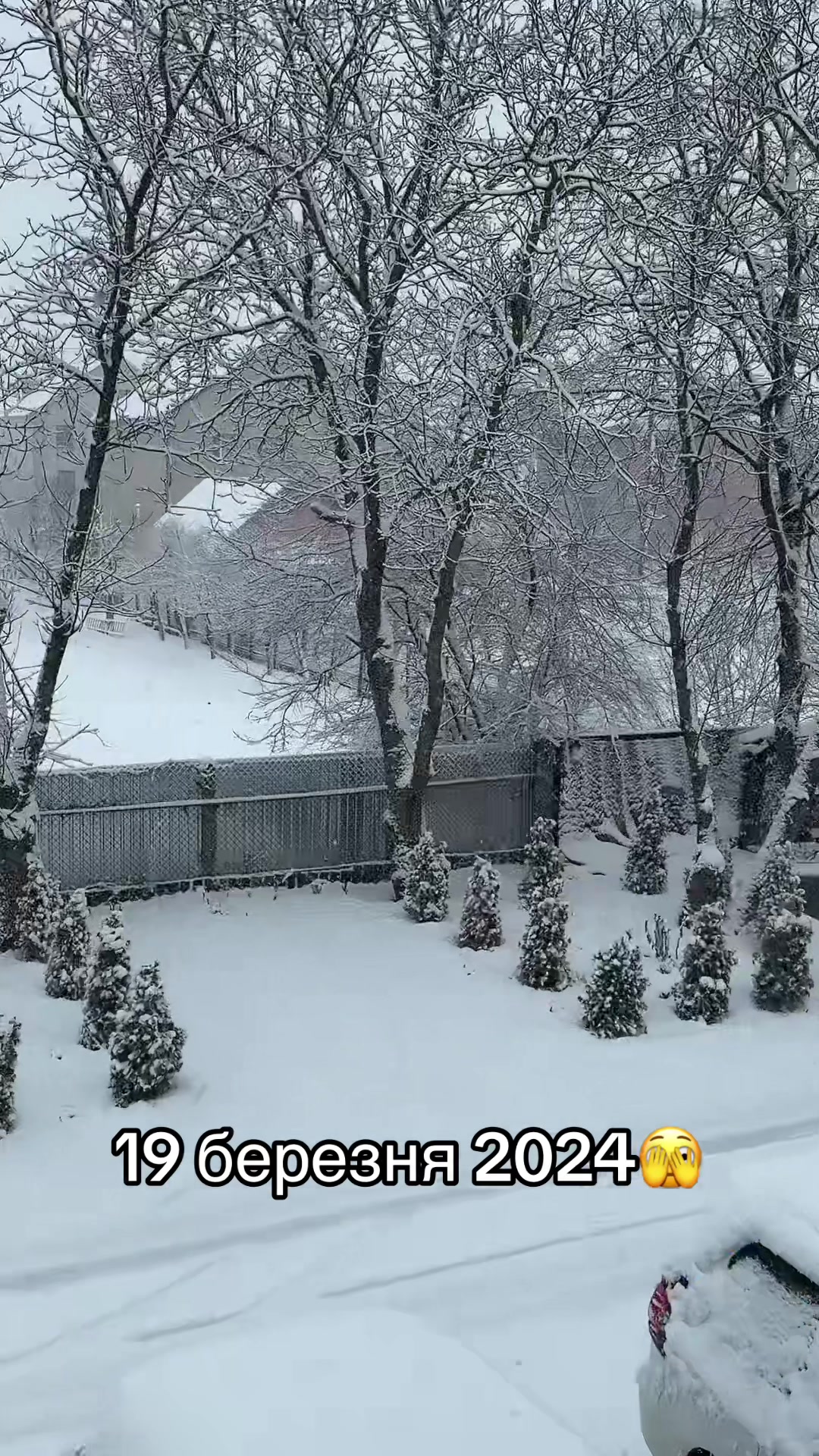 @Анна Белкот