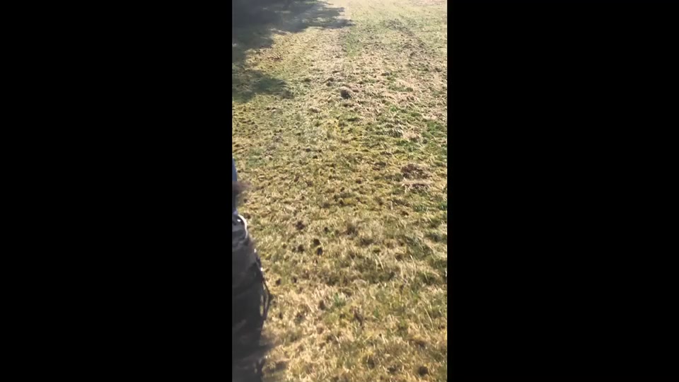 @My.soulhorse❤️🥺✌🏻
