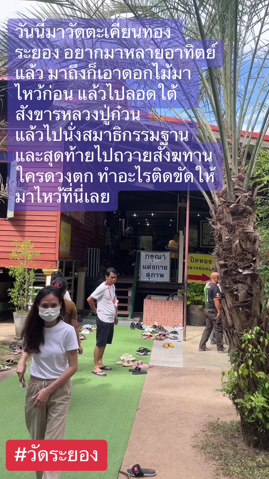 @Jasmine Hom