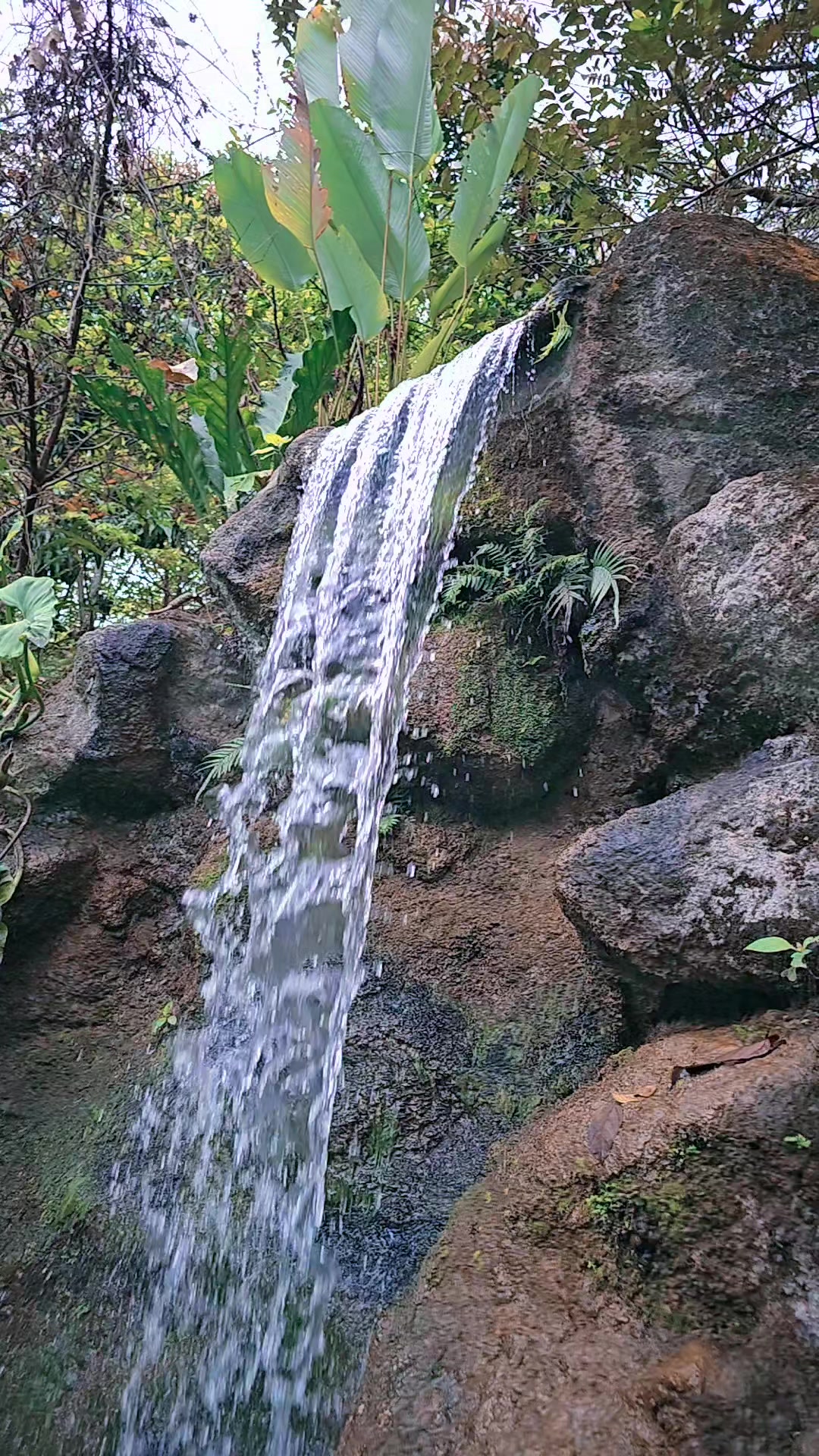 @👑El Gordito 🇭🇳Reyes. 👑🍔